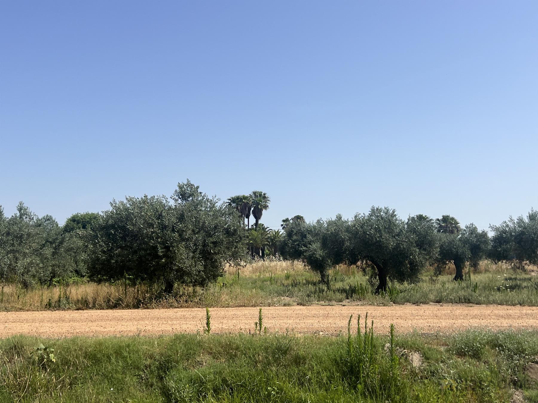 For sale of chalet in Don Benito