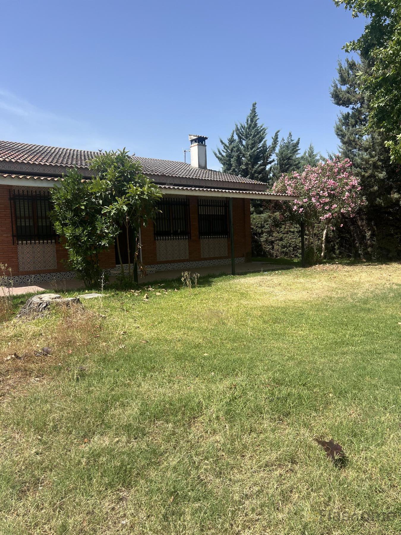 For sale of chalet in Don Benito