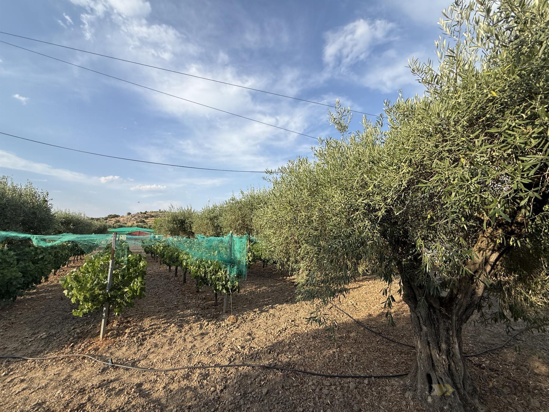Venta de casa en Santa Amalia