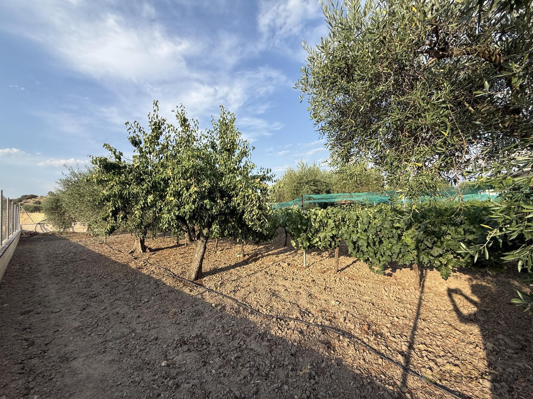 Venta de casa en Santa Amalia