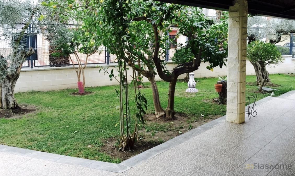 Venta de casa en Santa Amalia