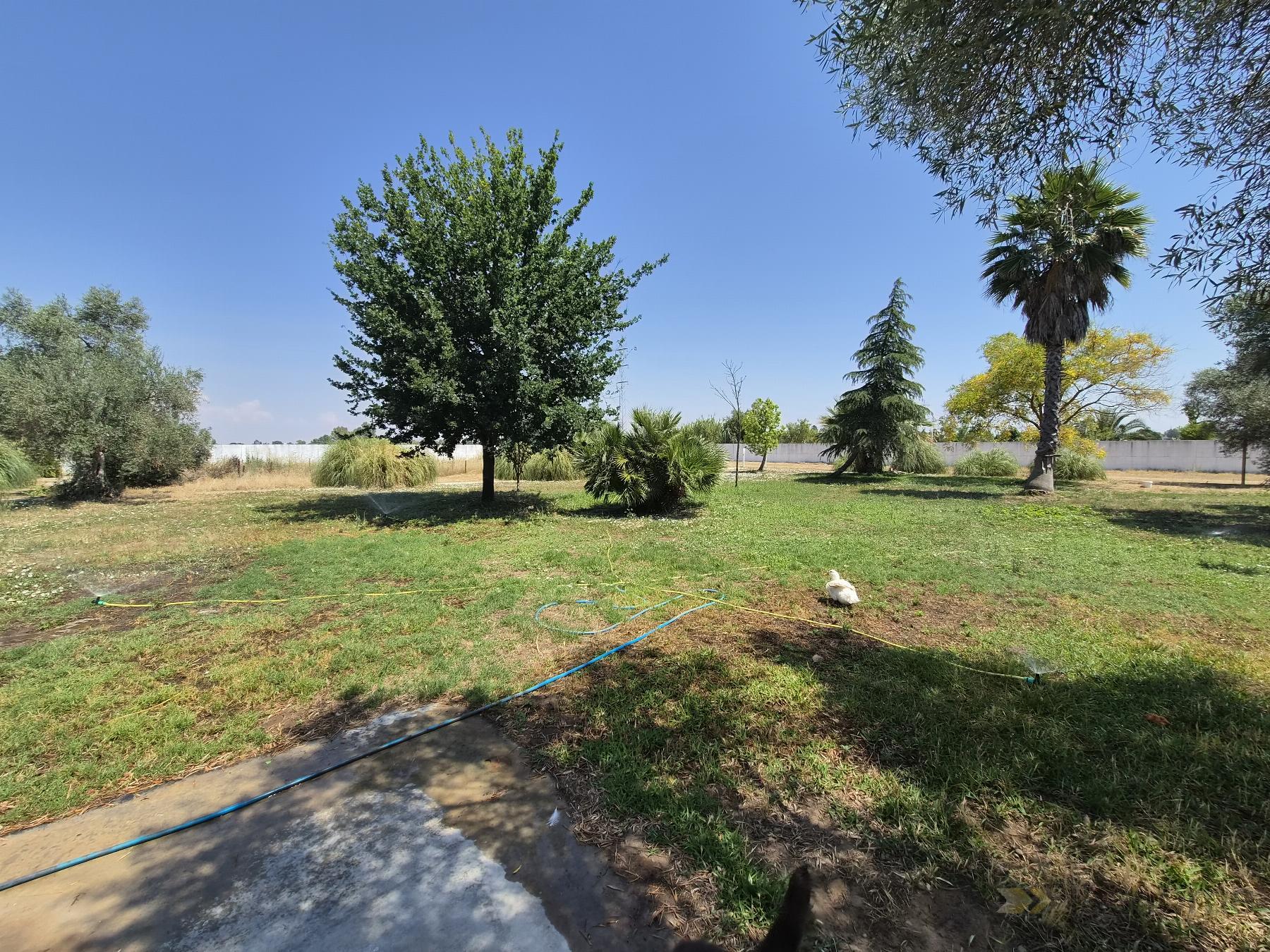 Venta de chalet en Badajoz