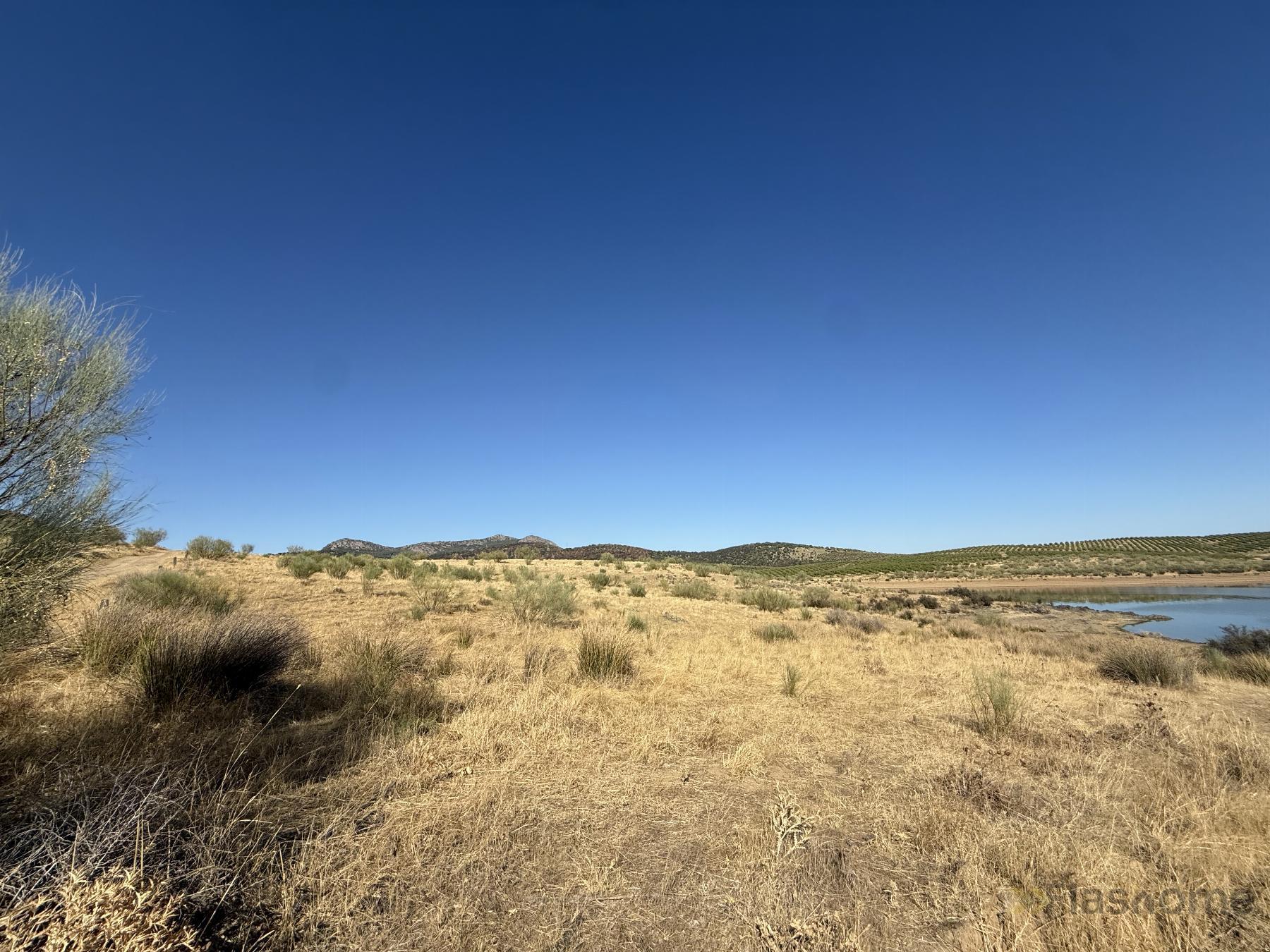 Venta de terreno en Santa Amalia
