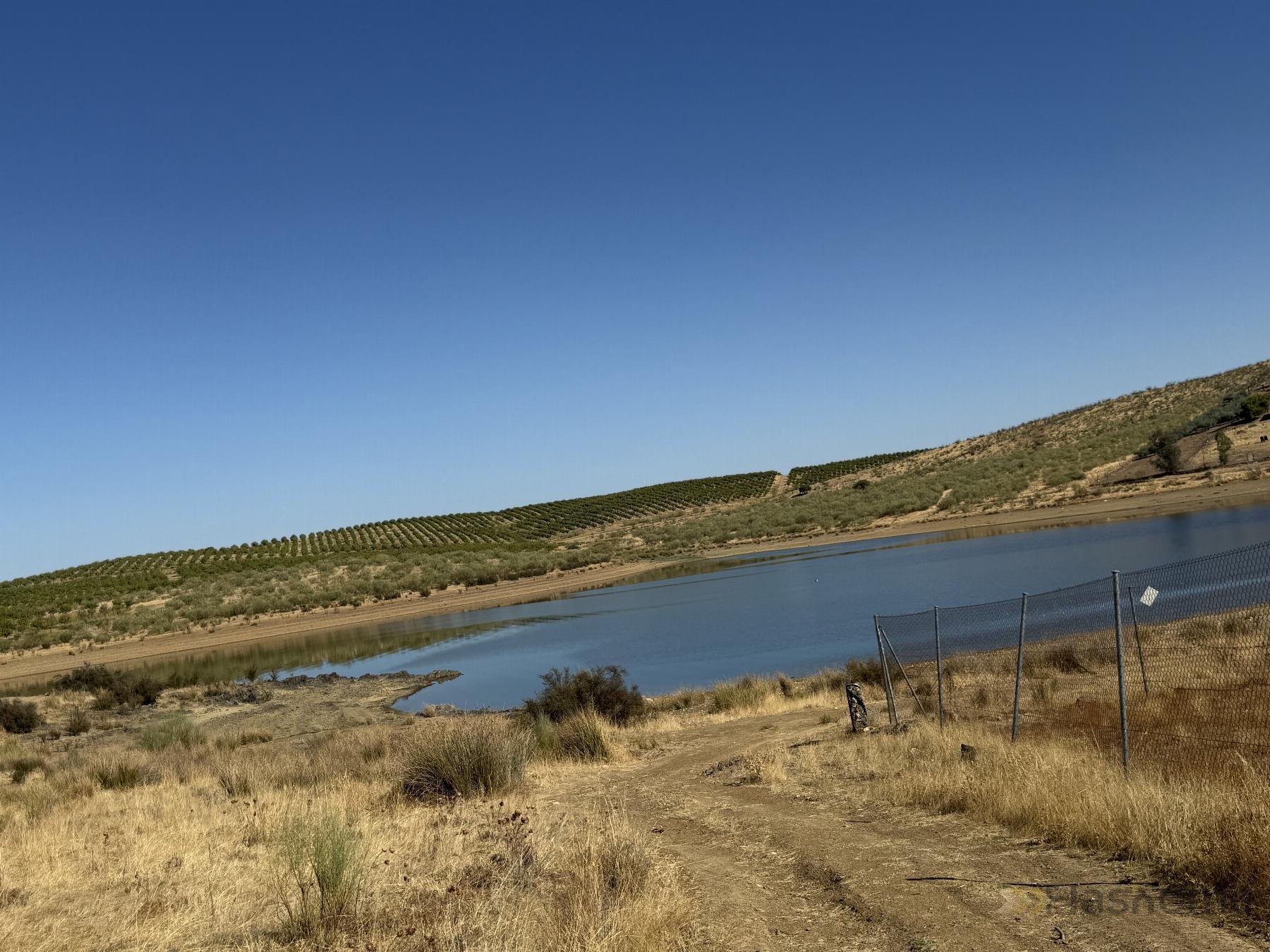 Venta de terreno en Santa Amalia