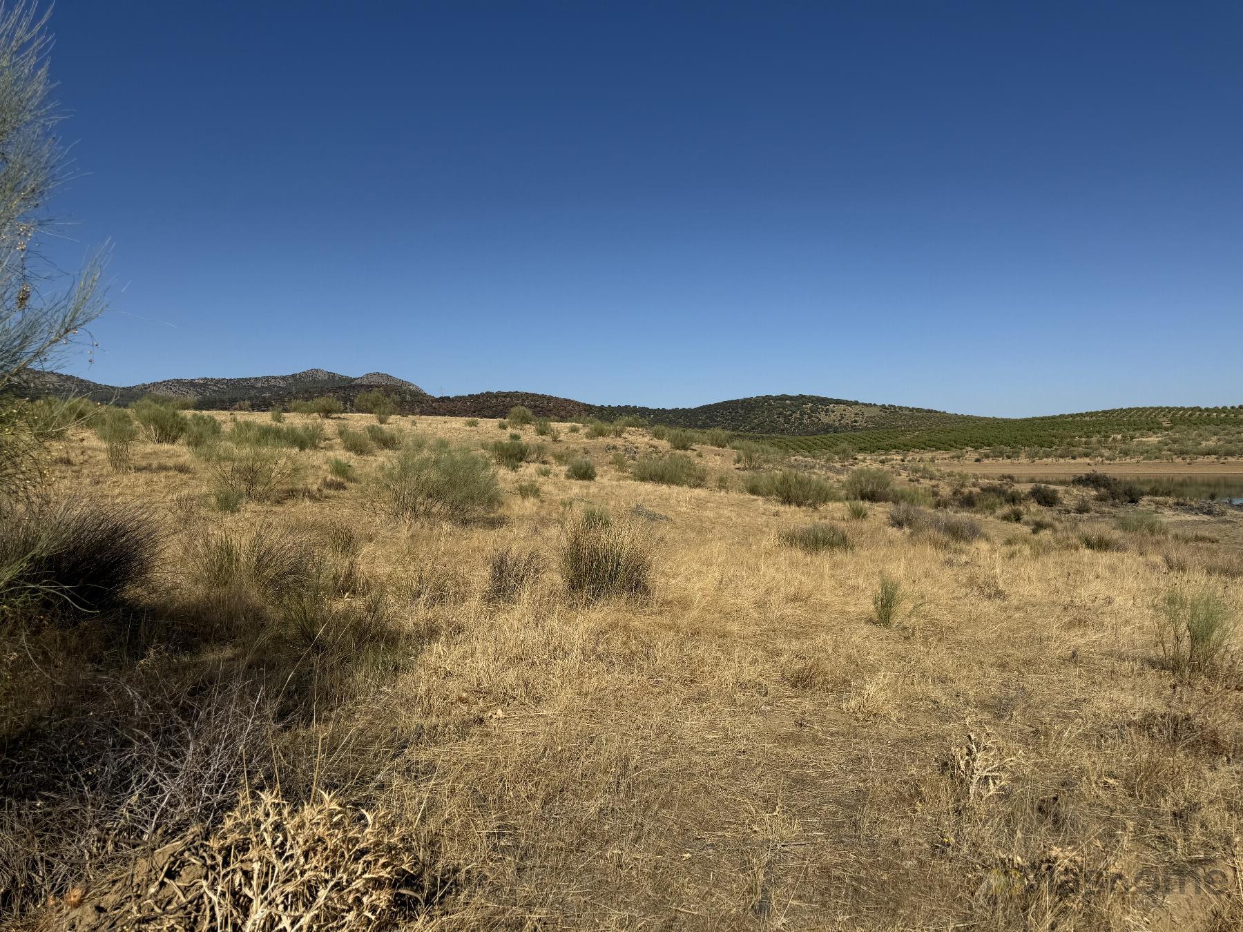 Venta de terreno en Santa Amalia