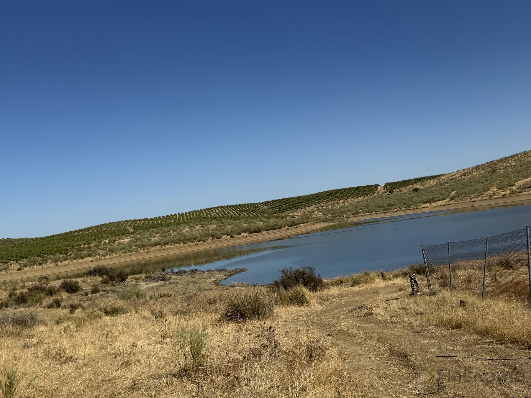 Venta de terreno en Santa Amalia