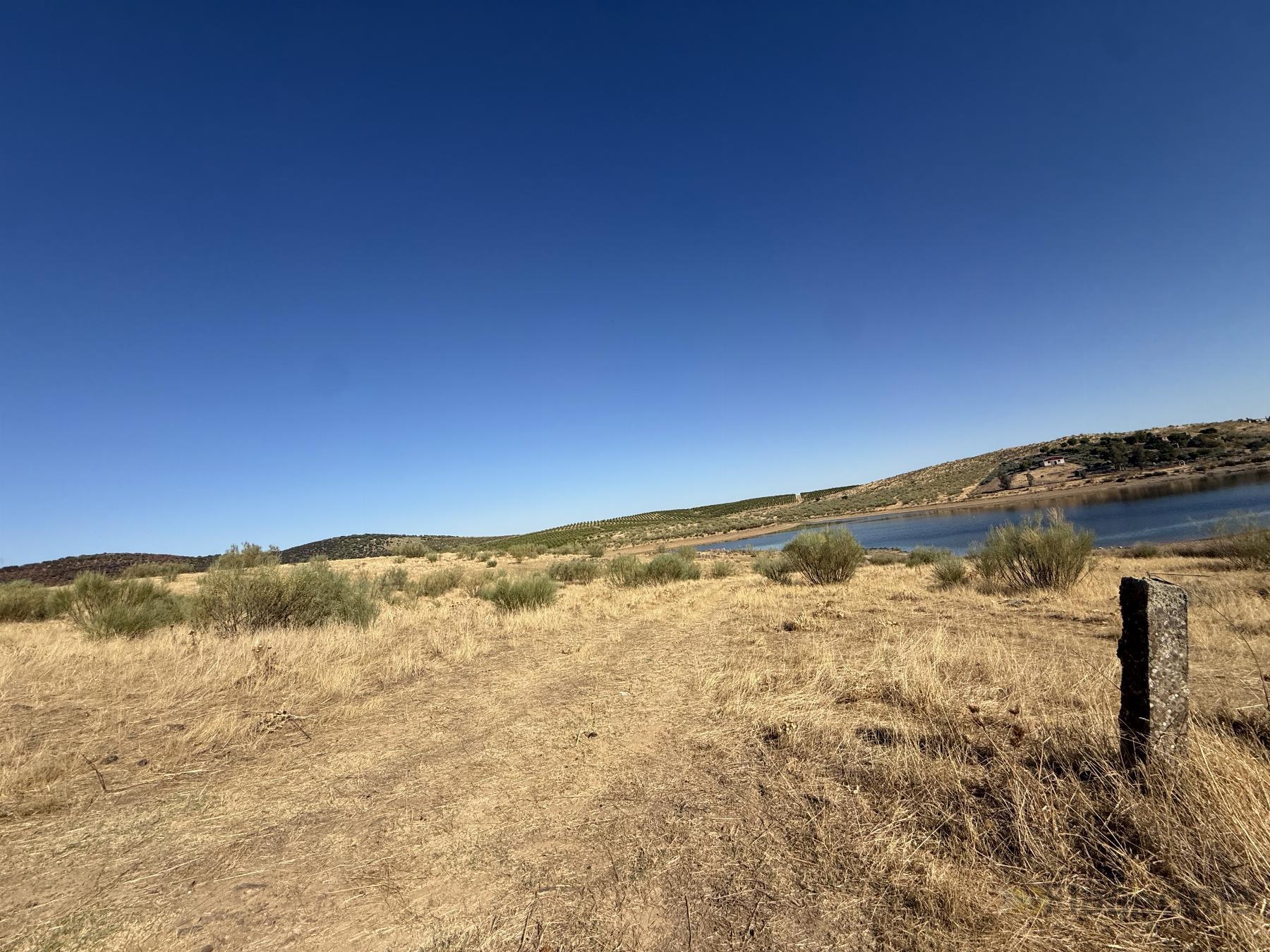 Venta de terreno en Santa Amalia