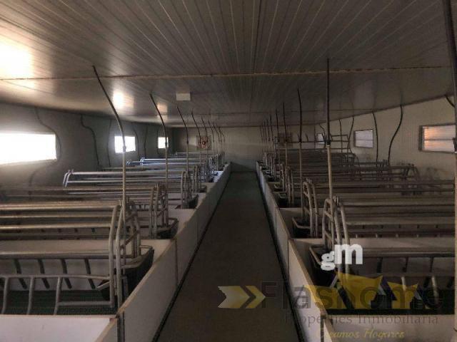 For sale of industrial plant/warehouse in Orellana la Vieja