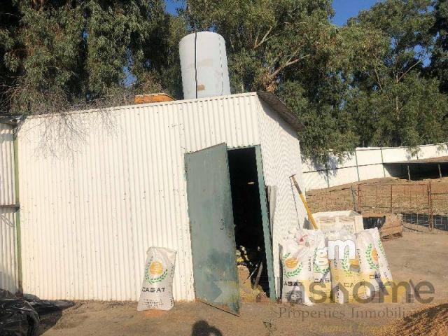 Venta de nave industrial en Orellana la Vieja