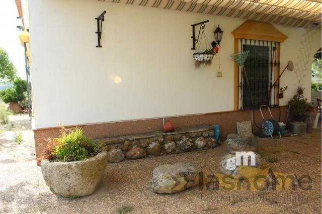 Venta de finca rústica en Monesterio