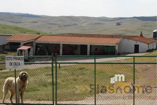 Venta de finca rústica en Monesterio