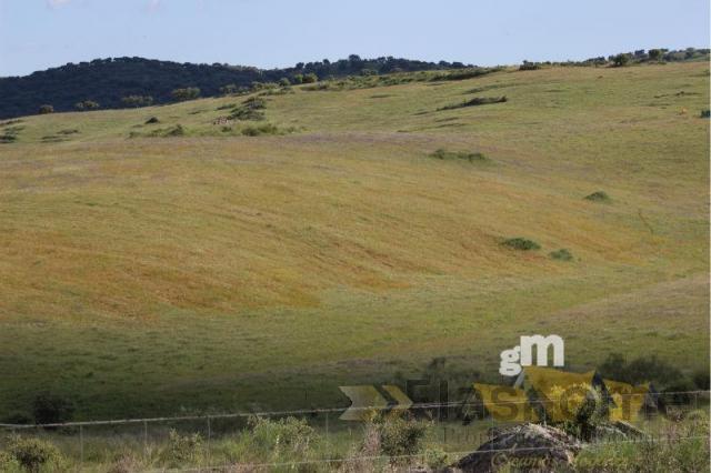 Venta de finca rústica en Monesterio