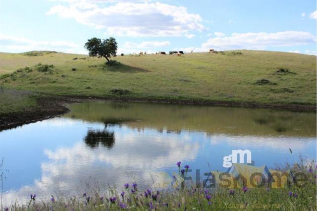 Venta de finca rústica en Monesterio