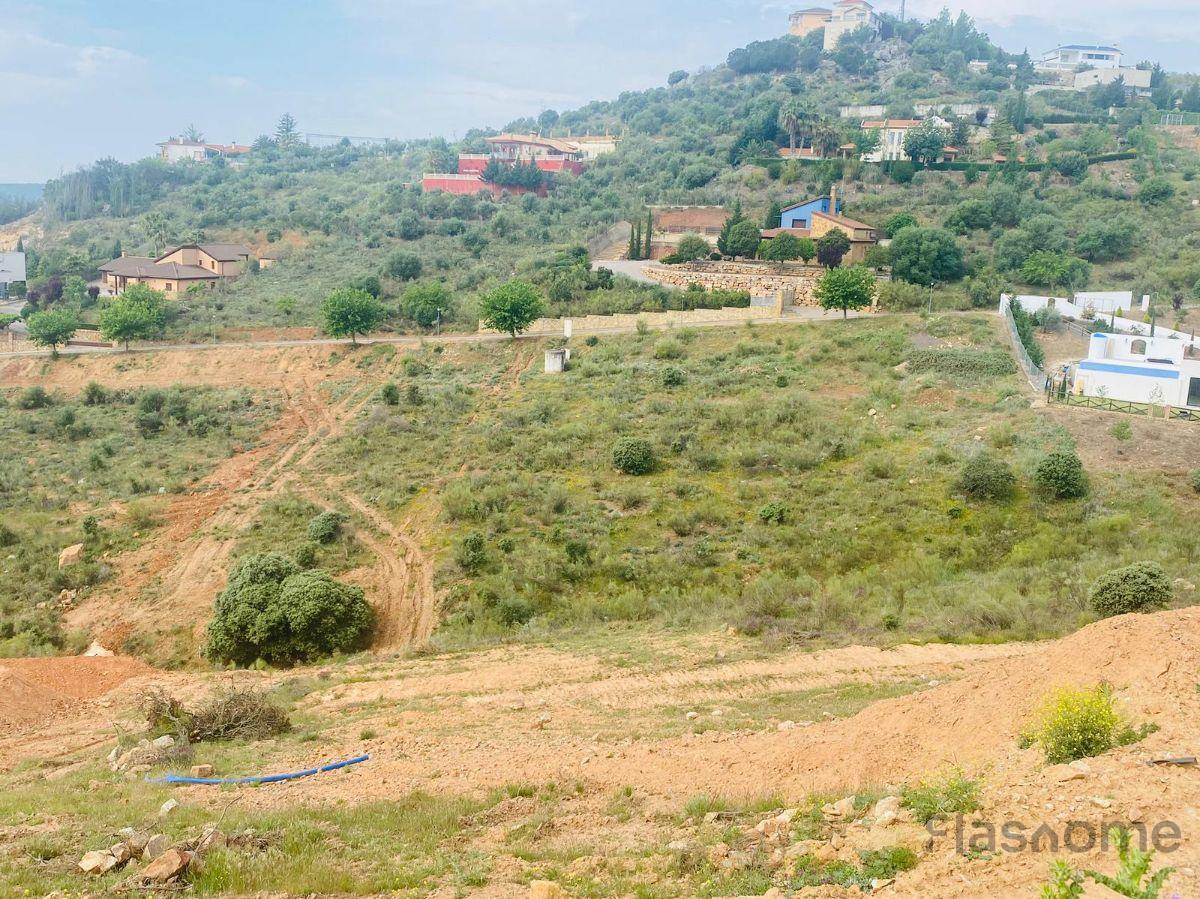 Finca en venta en Quinto Cecilio, Medellin