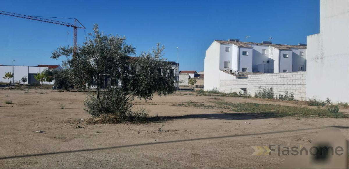 For sale of land in Quintana de la Serena