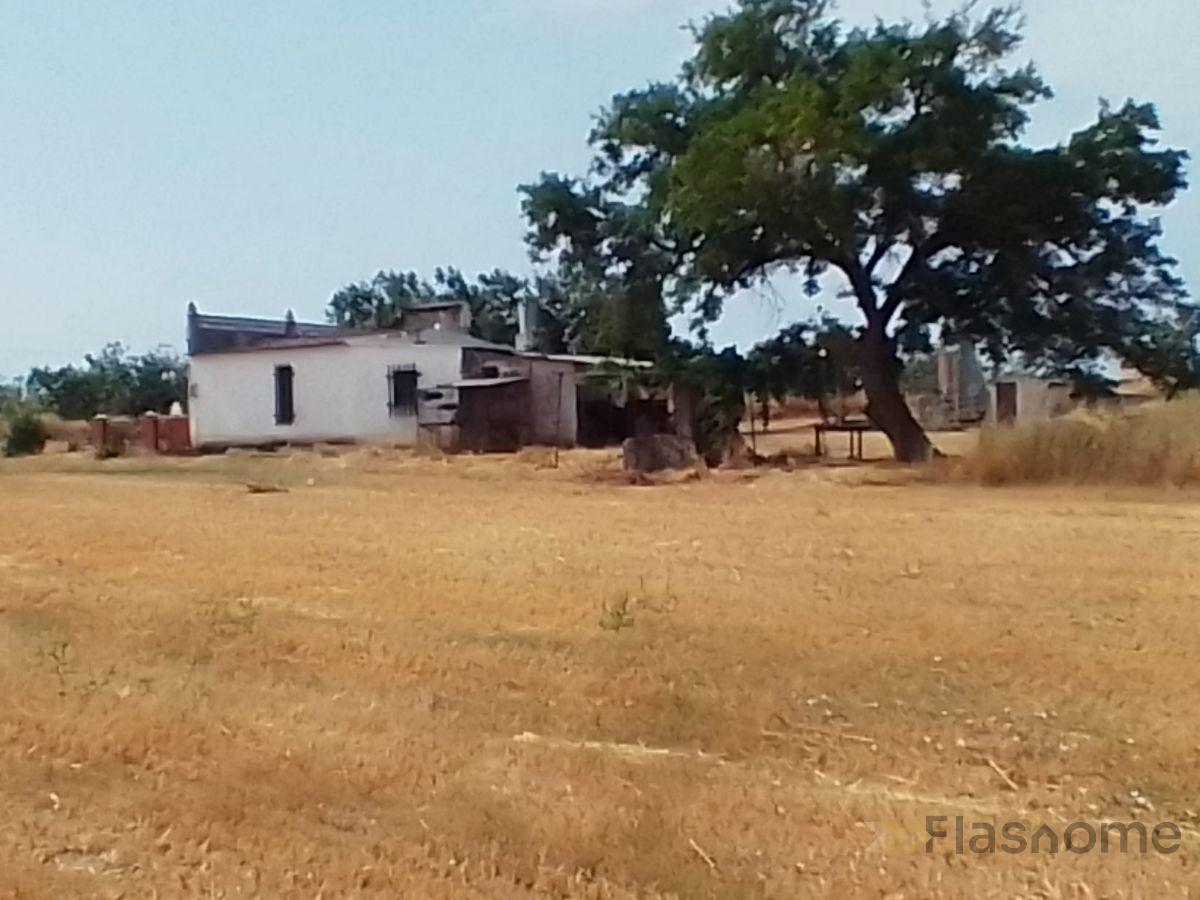 For sale of flat in Almendral