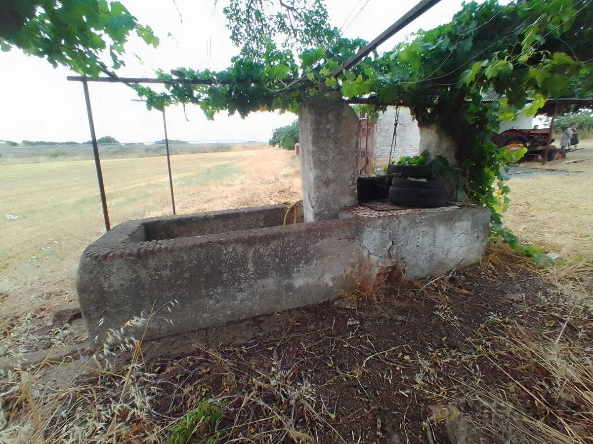 For sale of flat in Almendral