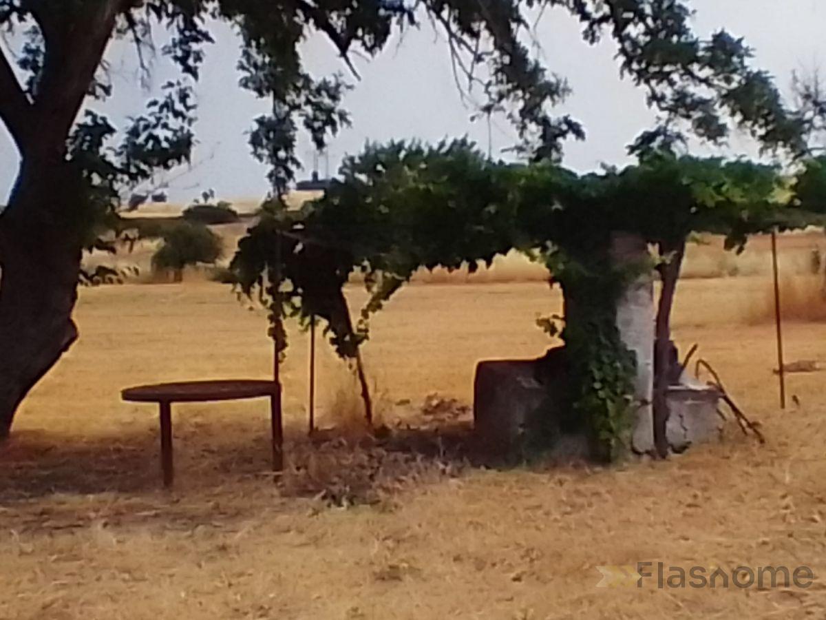 For sale of flat in Almendral