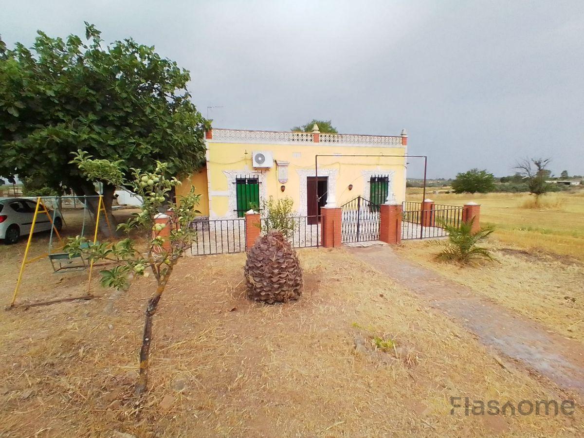 For sale of flat in Almendral