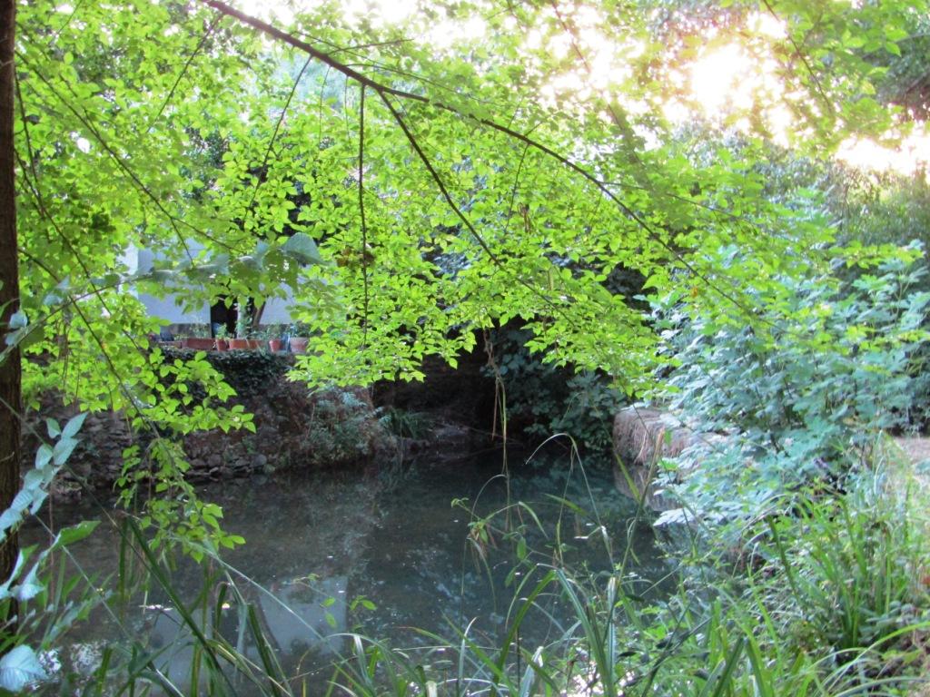Surroundings