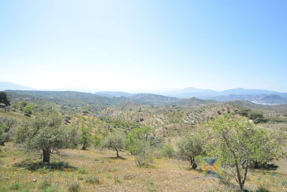 For sale of land in alora