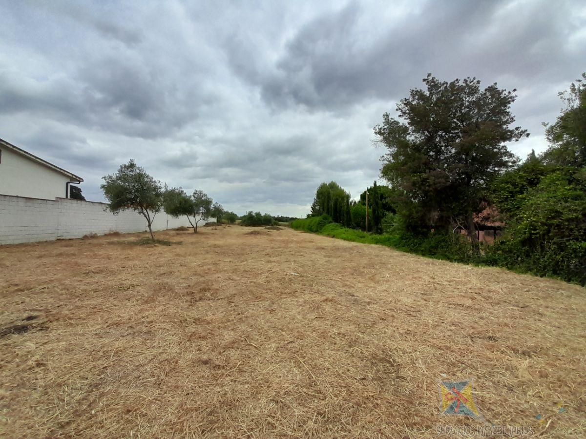 For sale of land in Palomares del Río