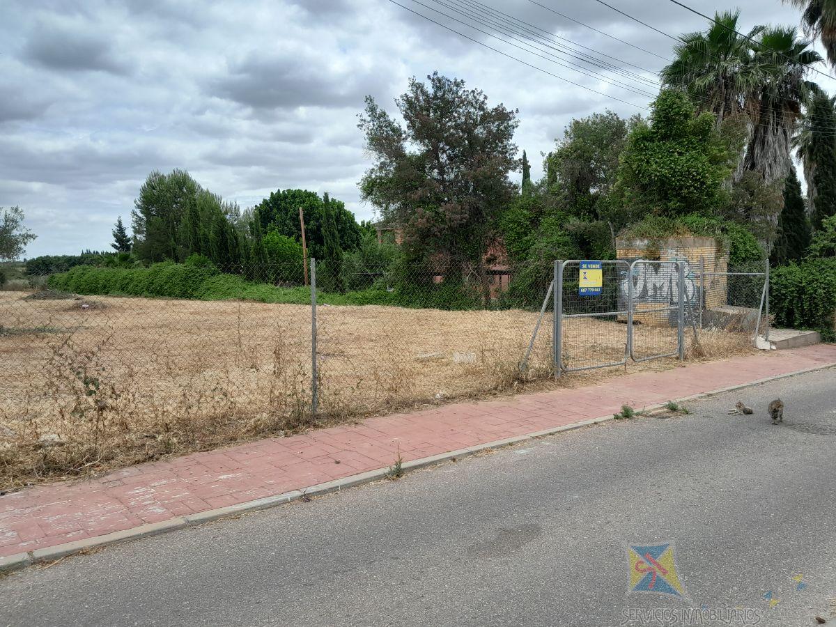 For sale of land in Palomares del Río