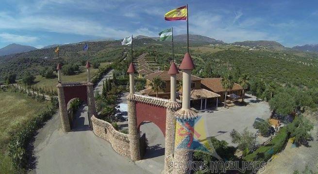 For sale of hotel in Periana