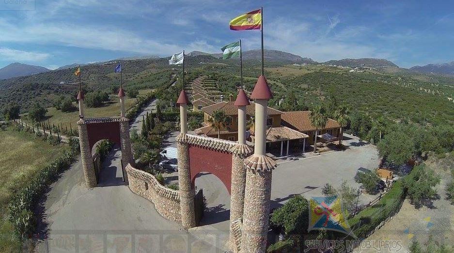 For sale of hotel in Periana