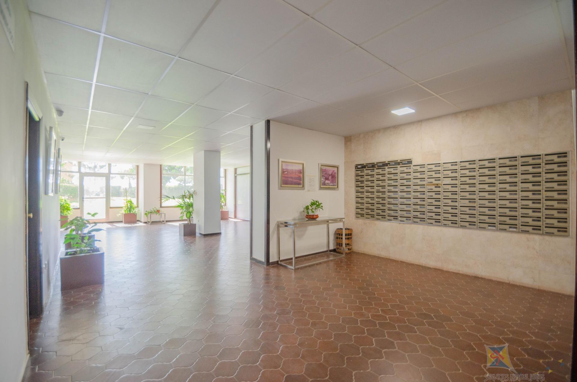 For rent of study in Málaga