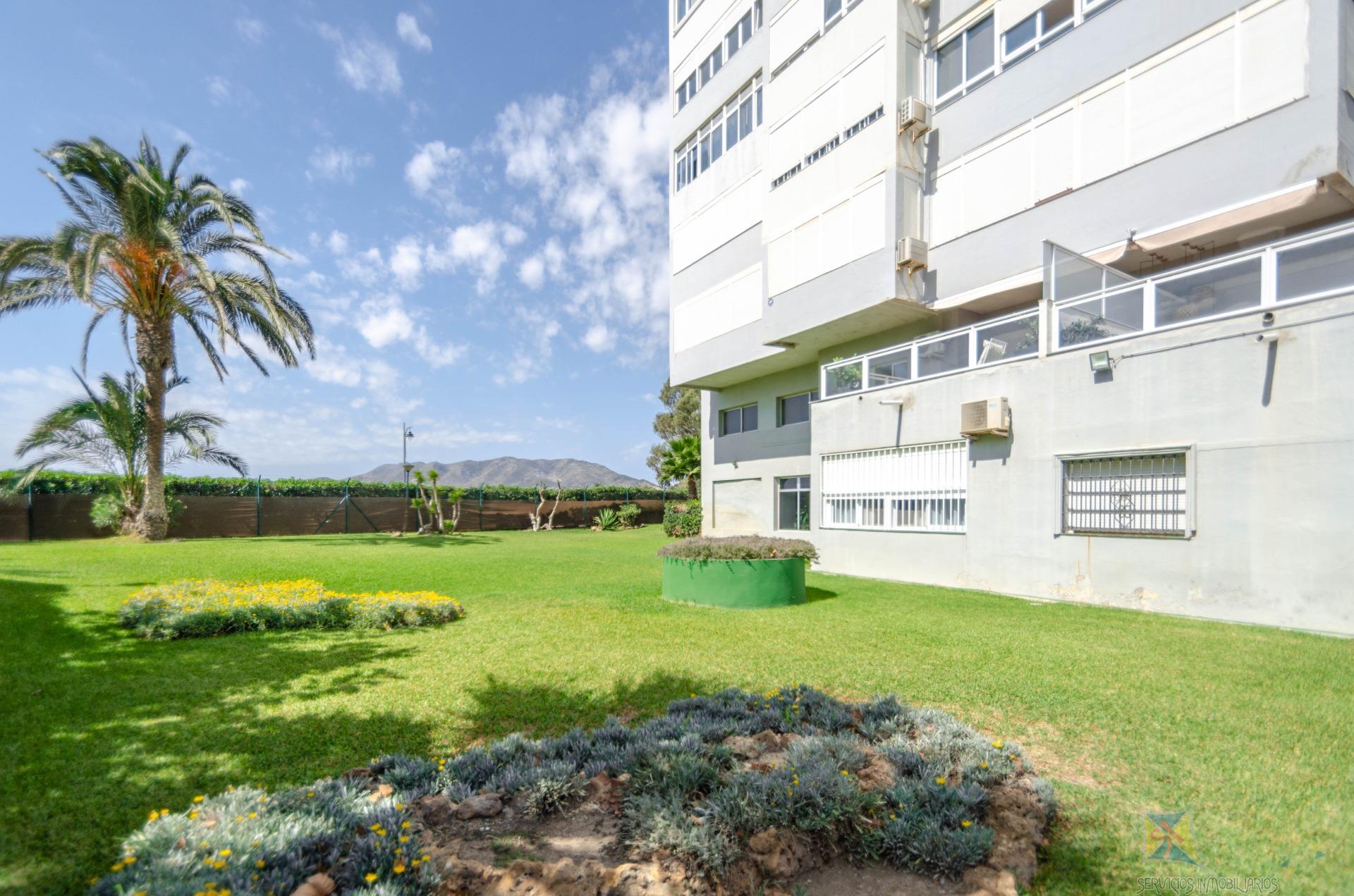 For rent of study in Málaga