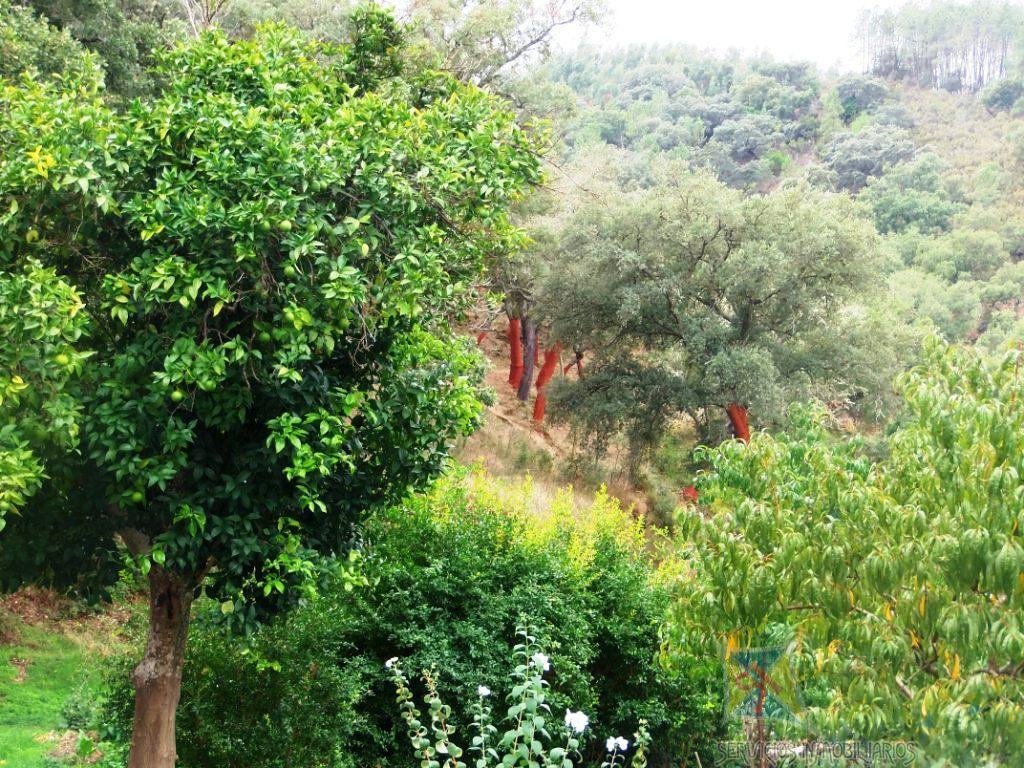 Alrededores