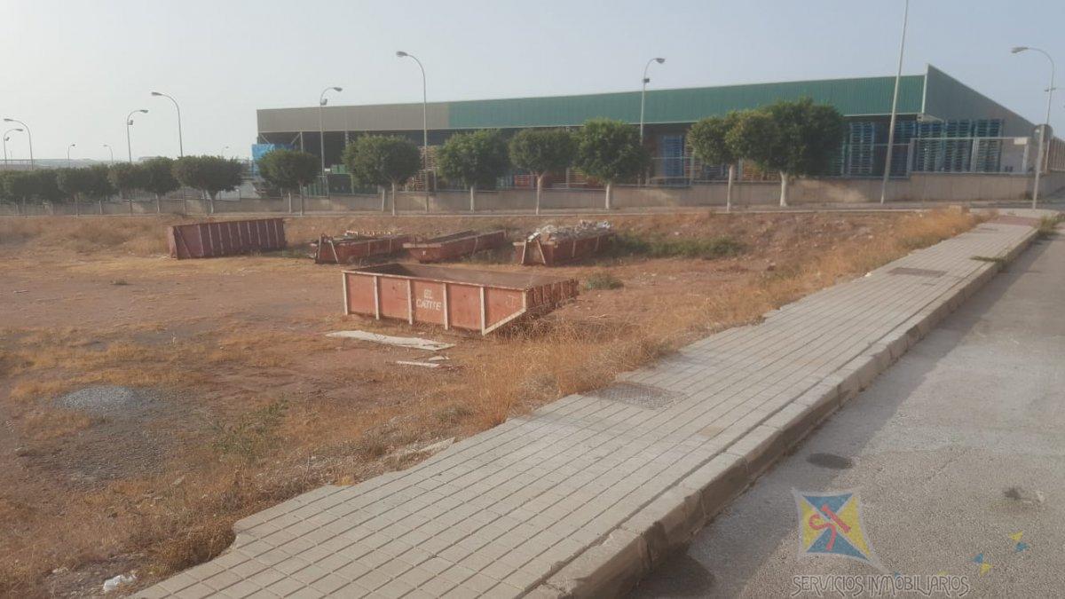 For sale of land in El Ejido