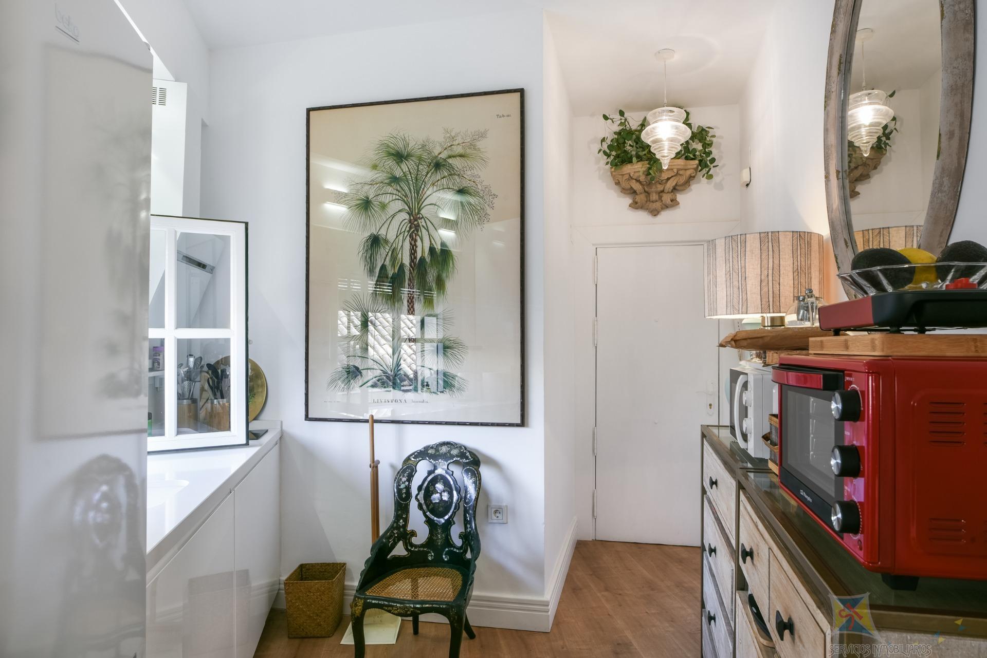For sale of study in Málaga