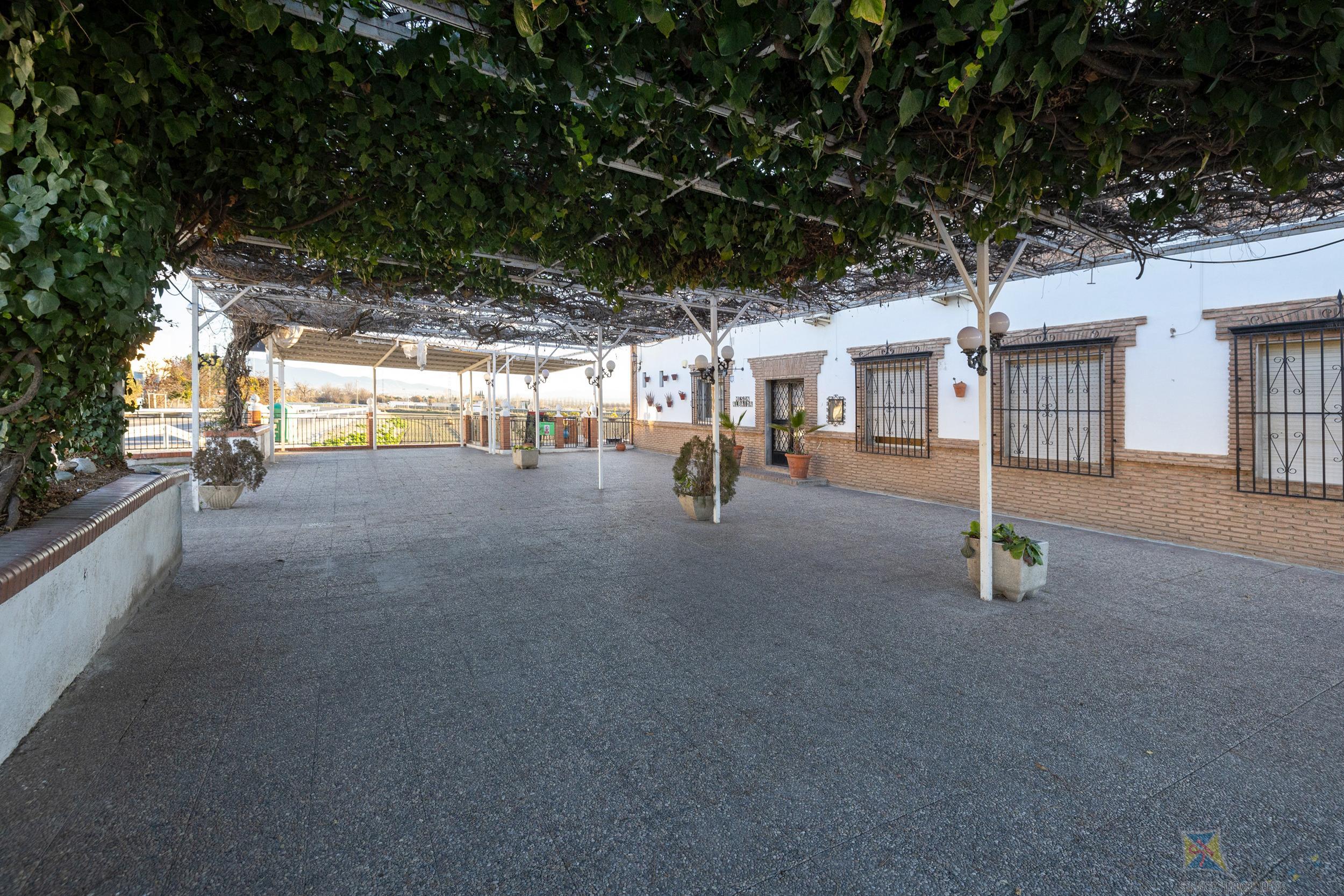 For sale of commercial in Granada