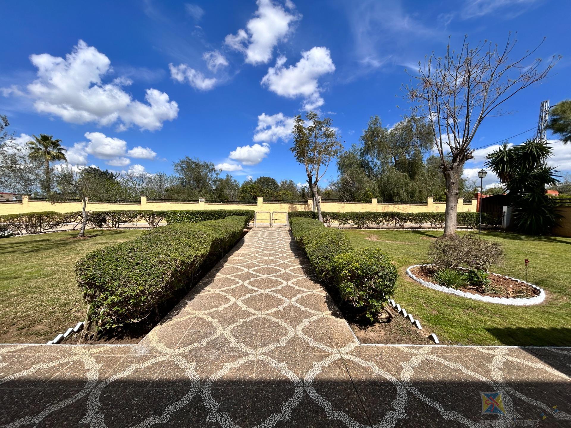 Venta de  en Villanueva del Ariscal