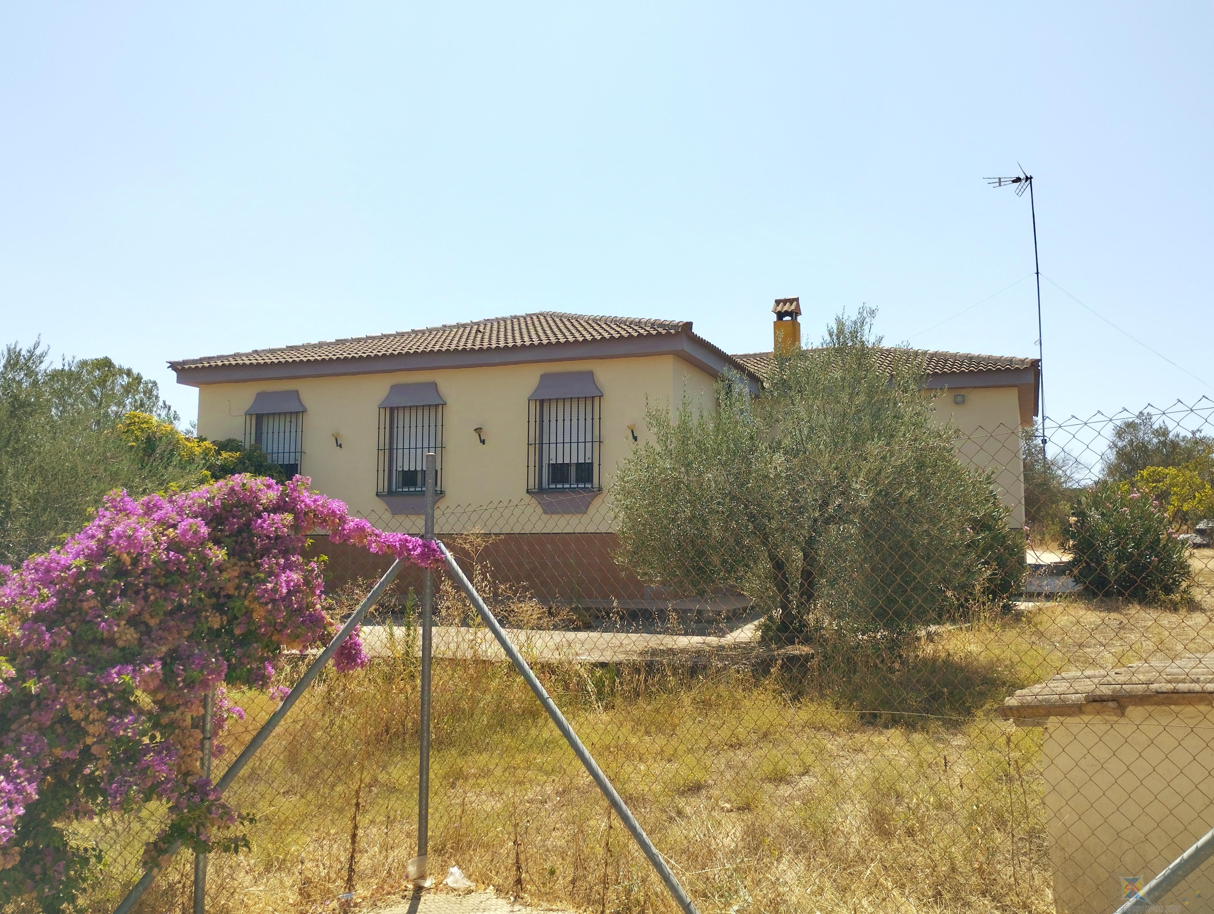 For sale of farmhouse in Hinojos