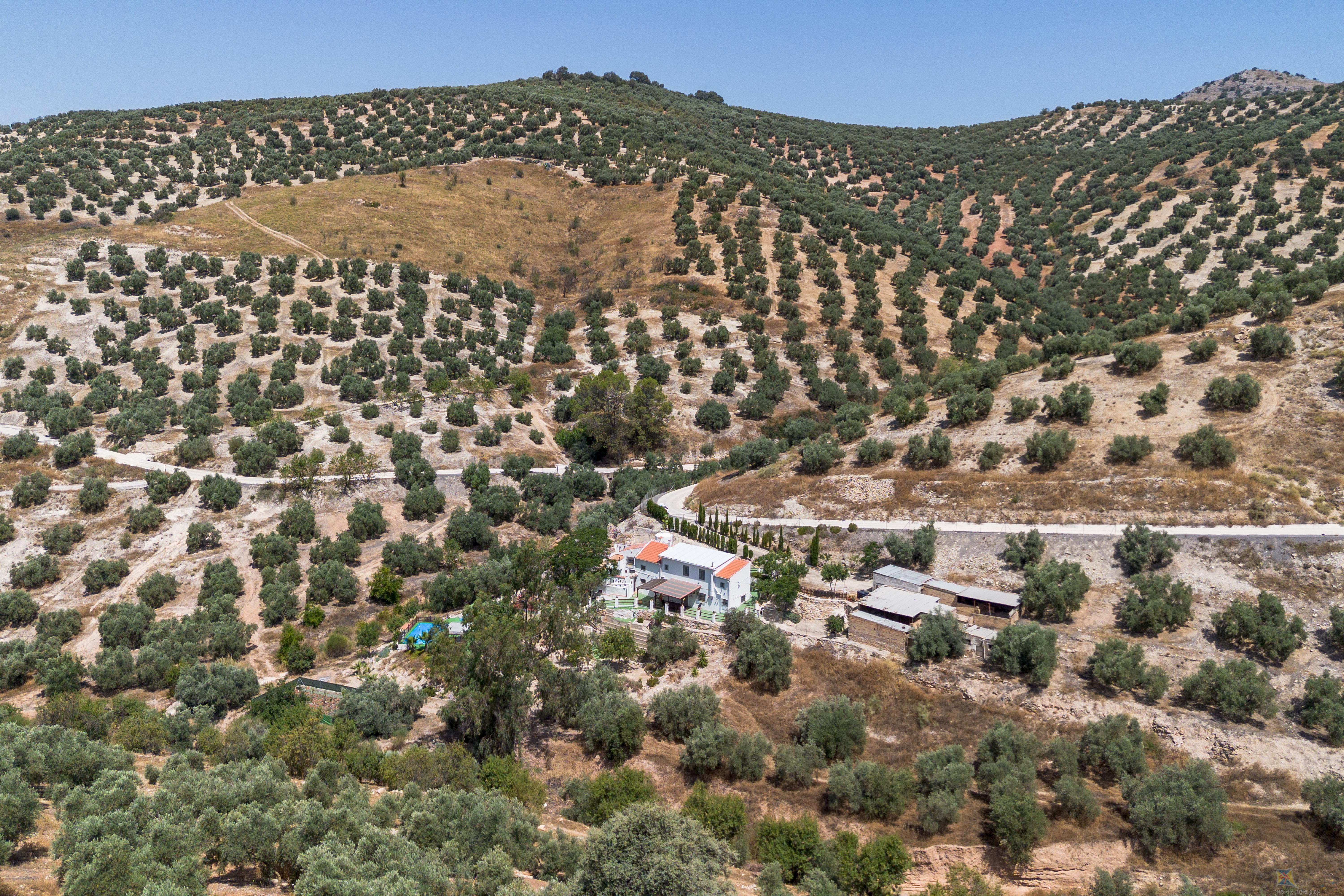 For sale of farmhouse in Cuevas de San Marcos