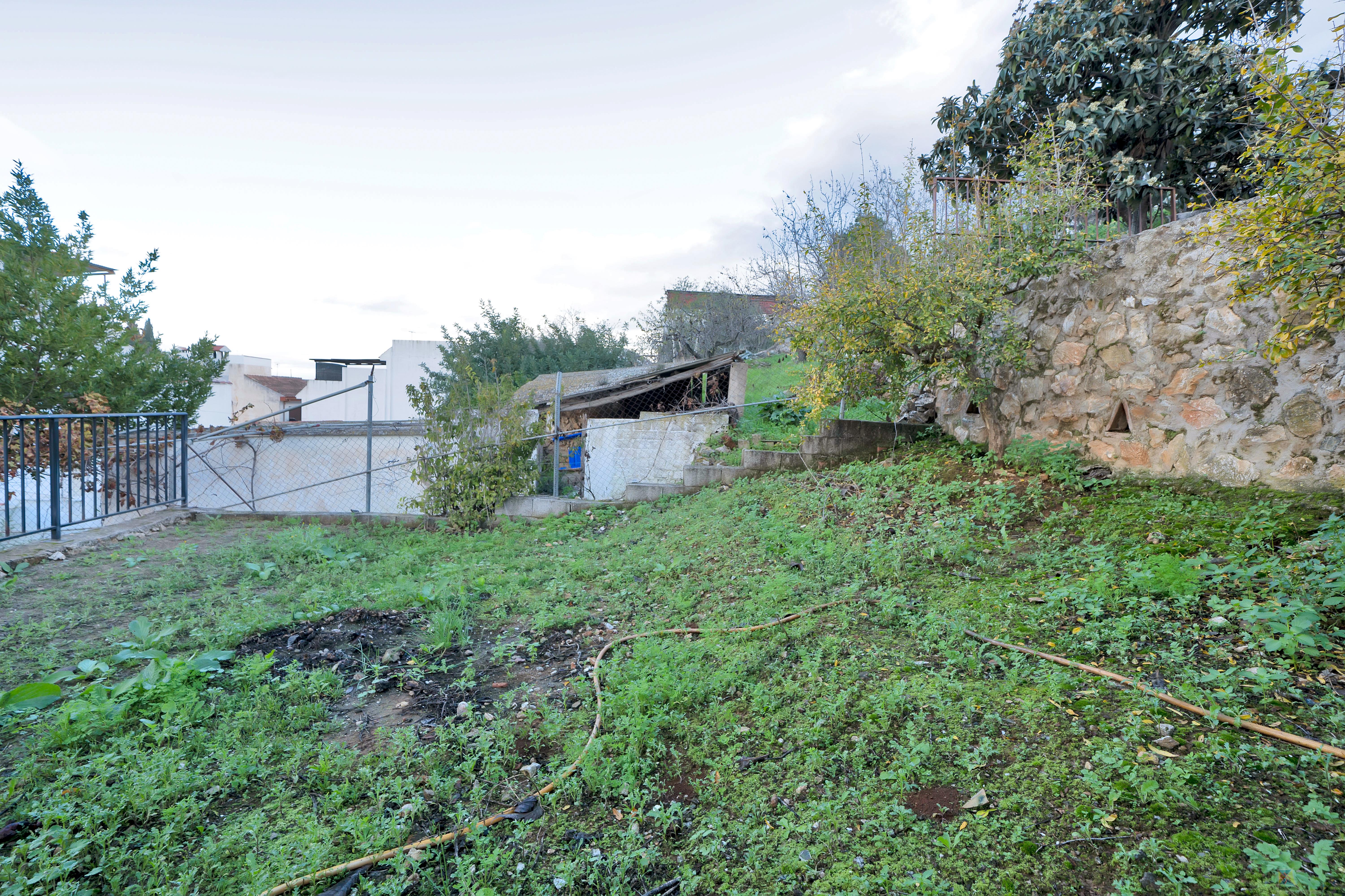 For sale of commercial in Monda