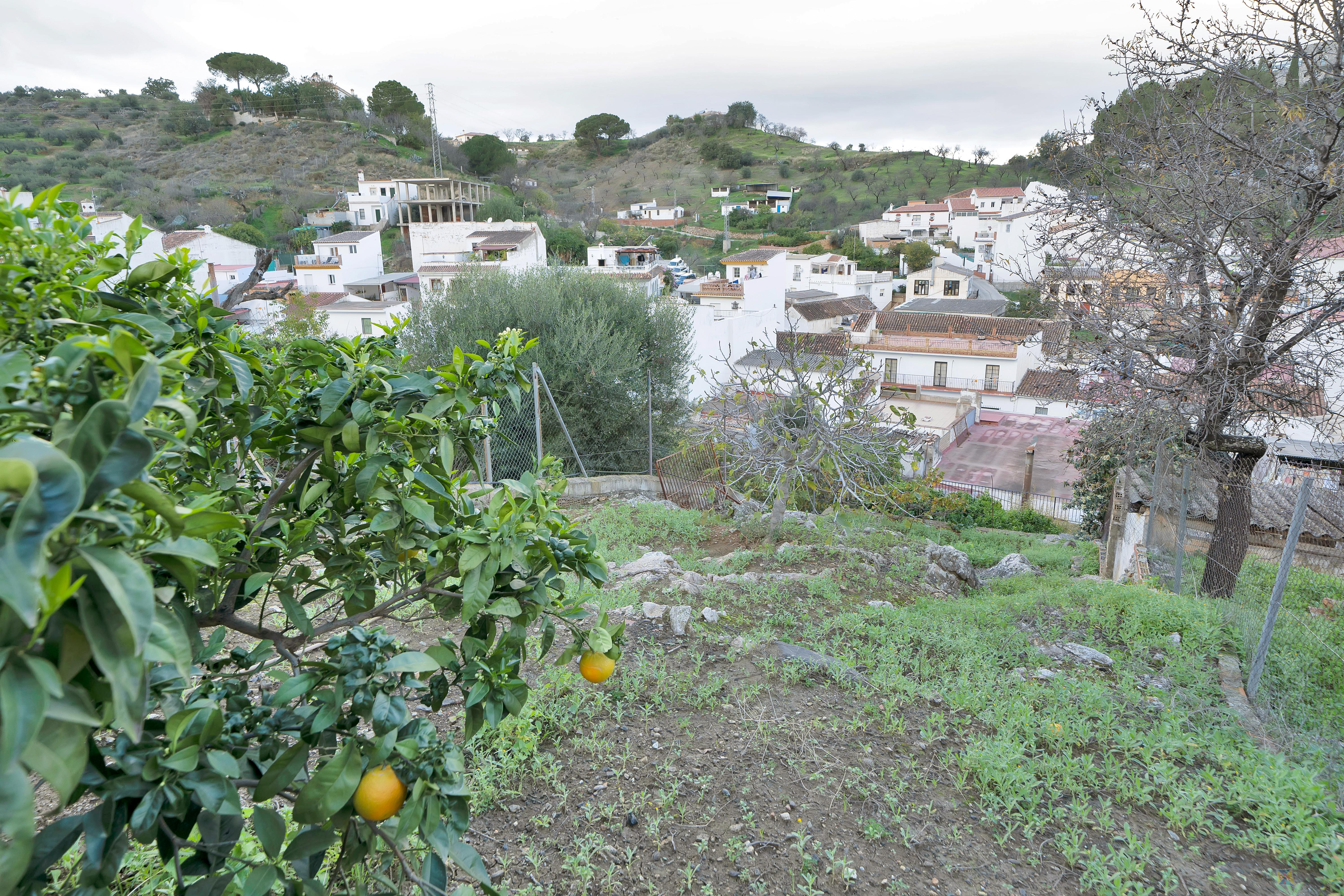 For sale of commercial in Monda