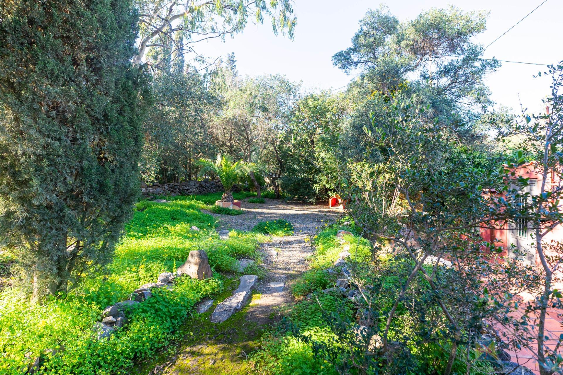 Venta de chalet en Málaga