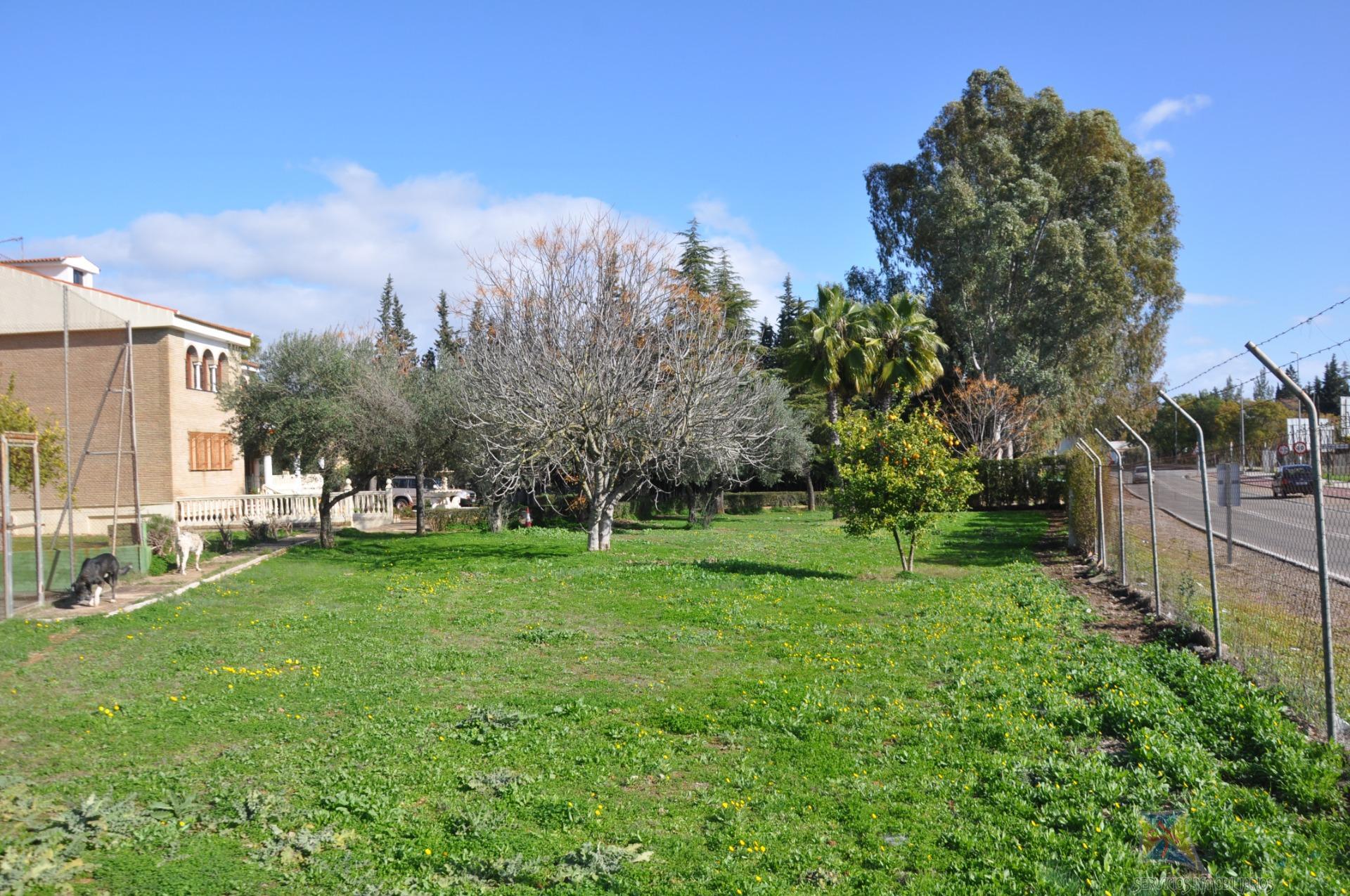 Venta de chalet en Palomares del Rio