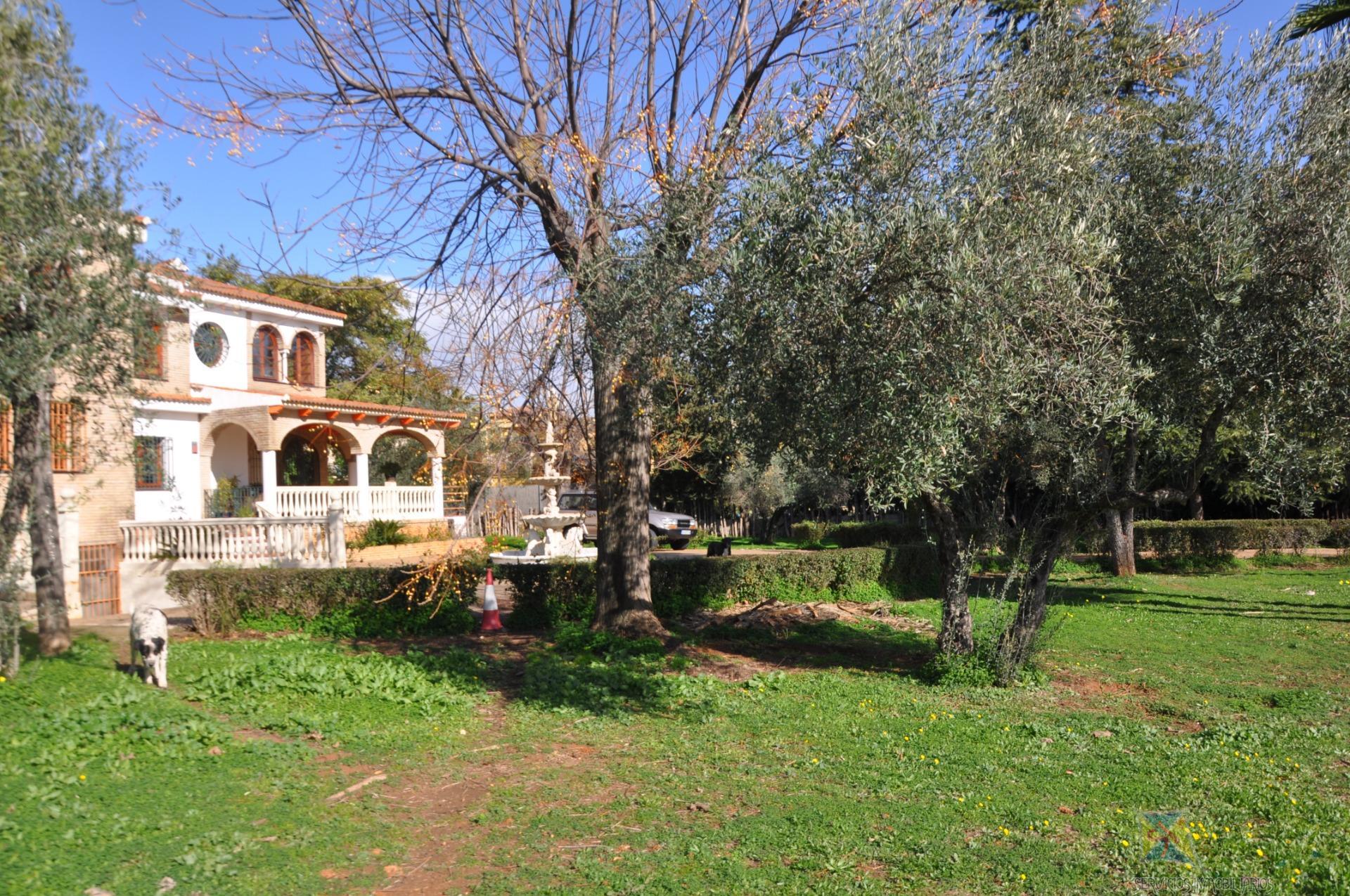 Venta de chalet en Palomares del Rio