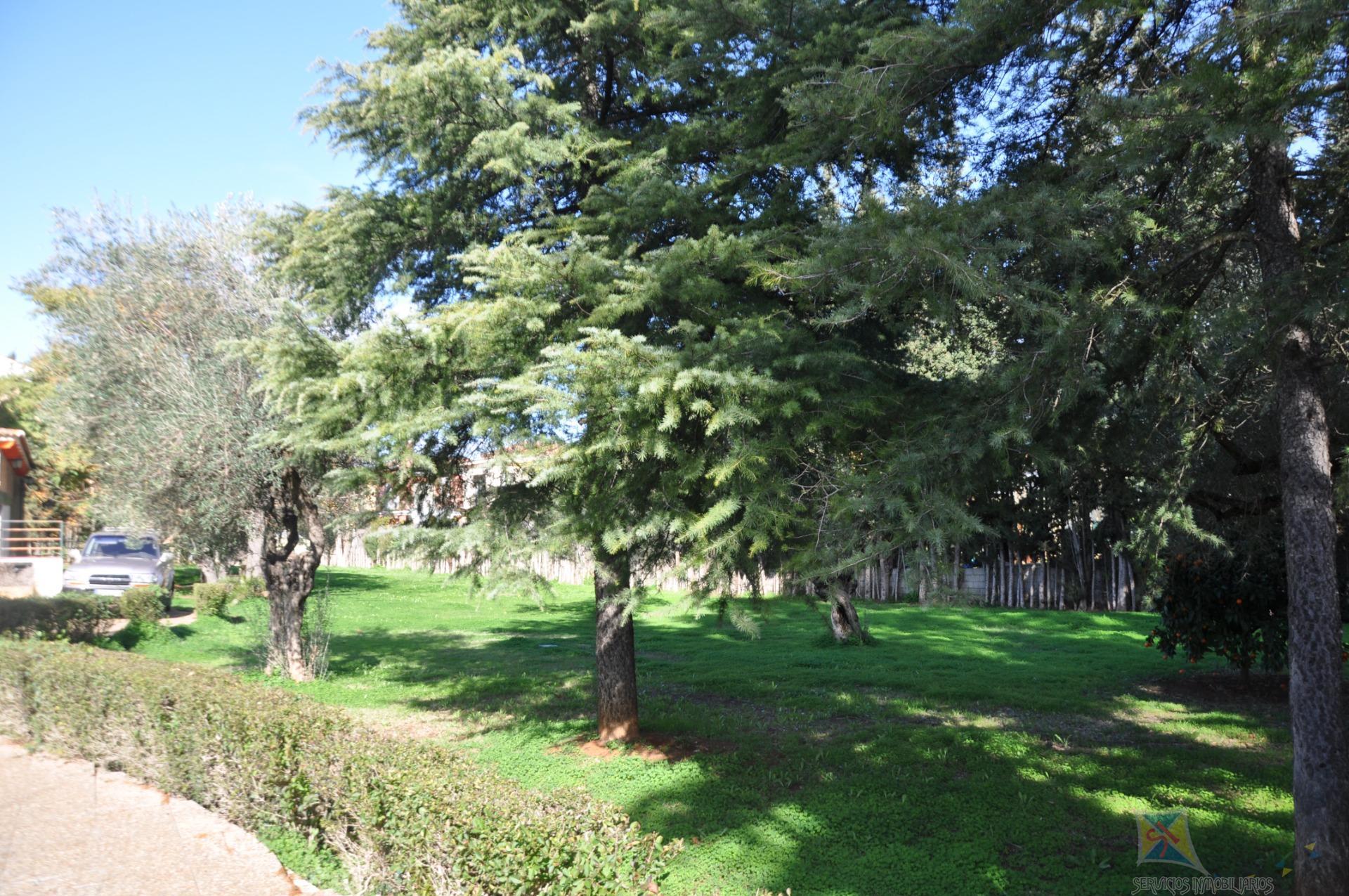Venta de chalet en Palomares del Rio