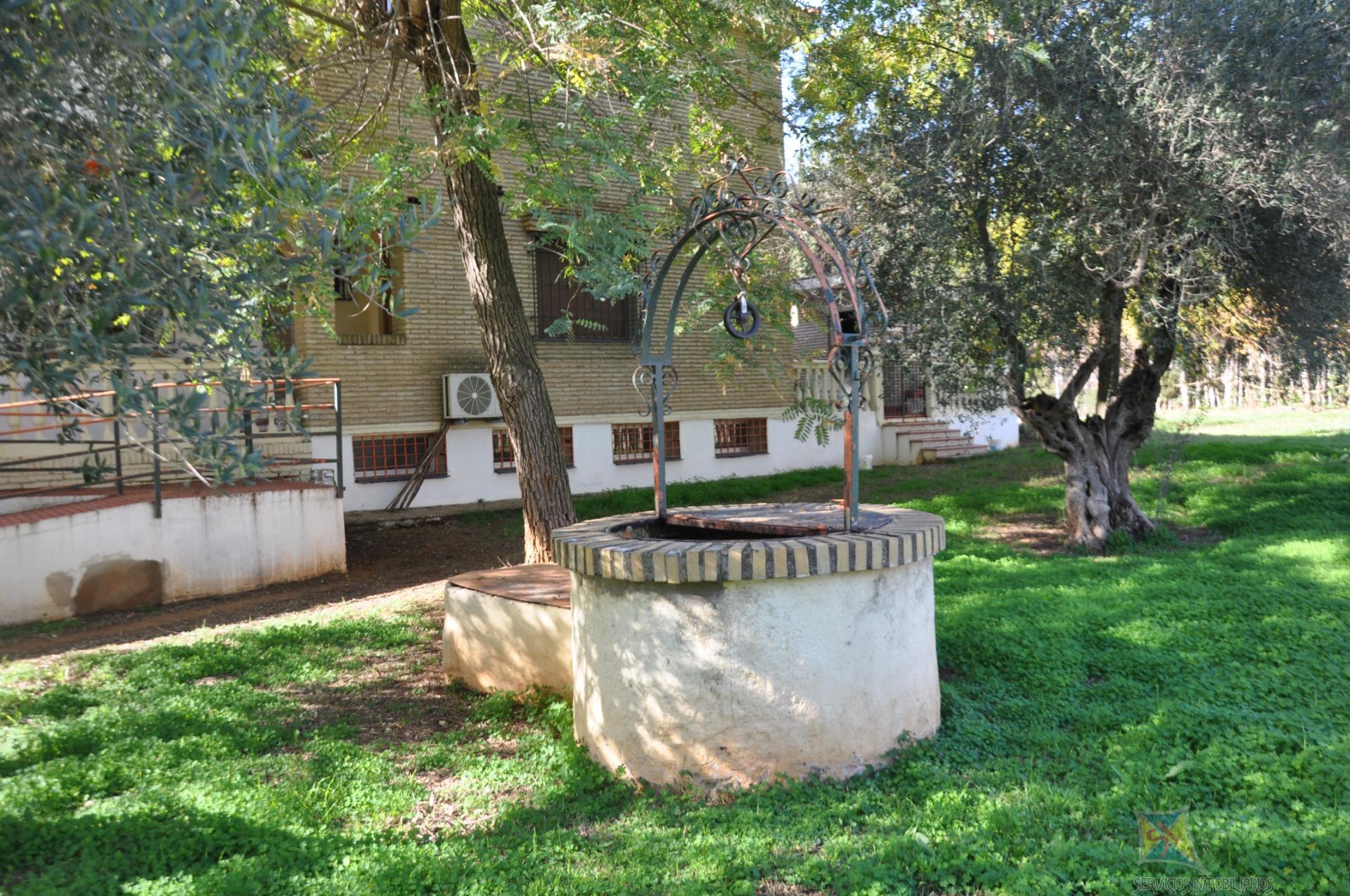 Venta de chalet en Palomares del Rio
