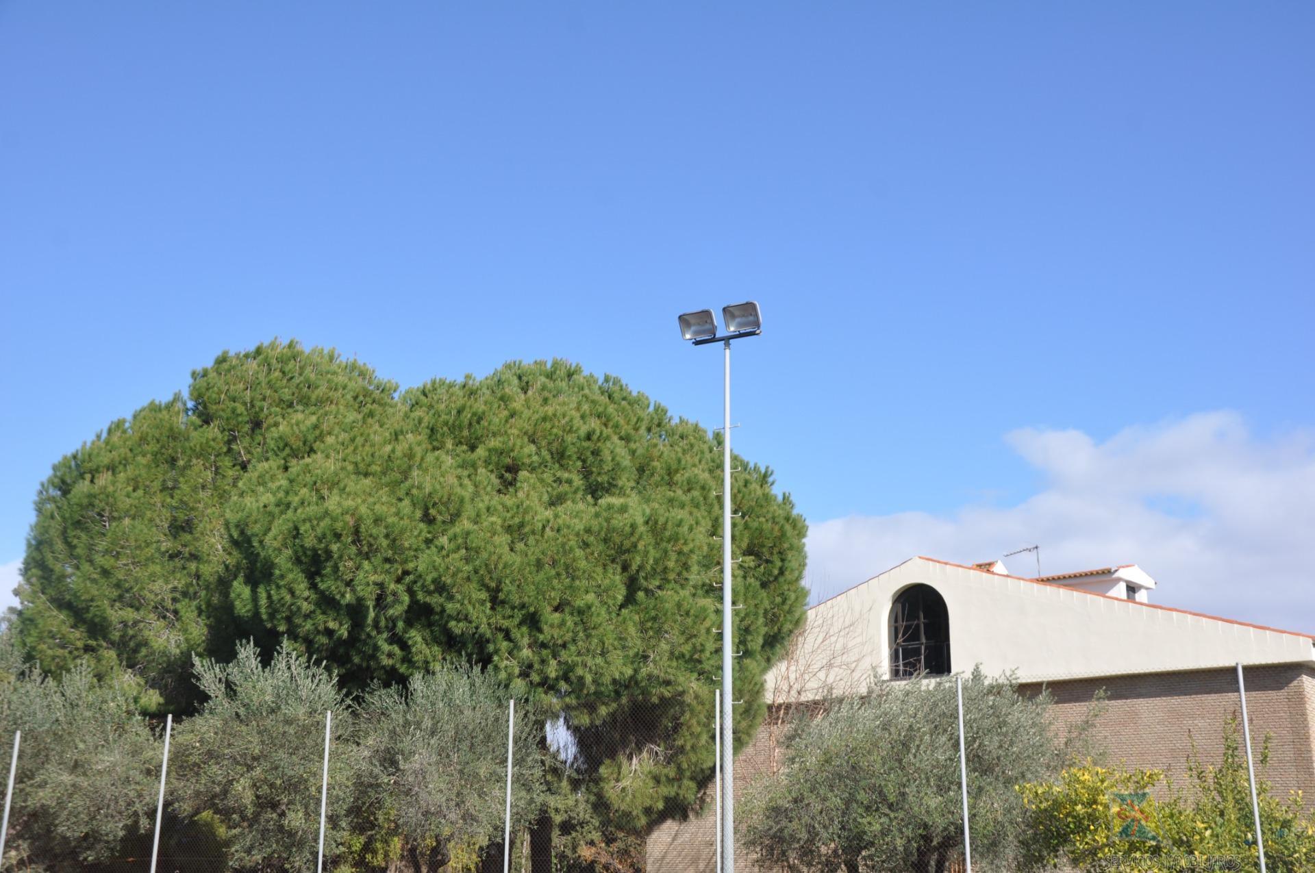 Venta de chalet en Palomares del Rio