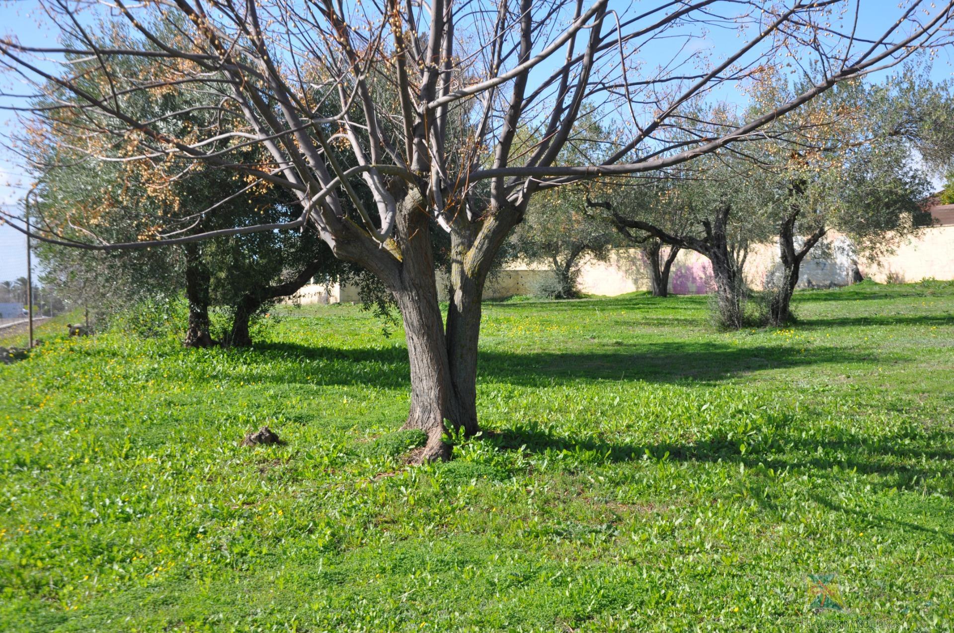 Venta de chalet en Palomares del Rio