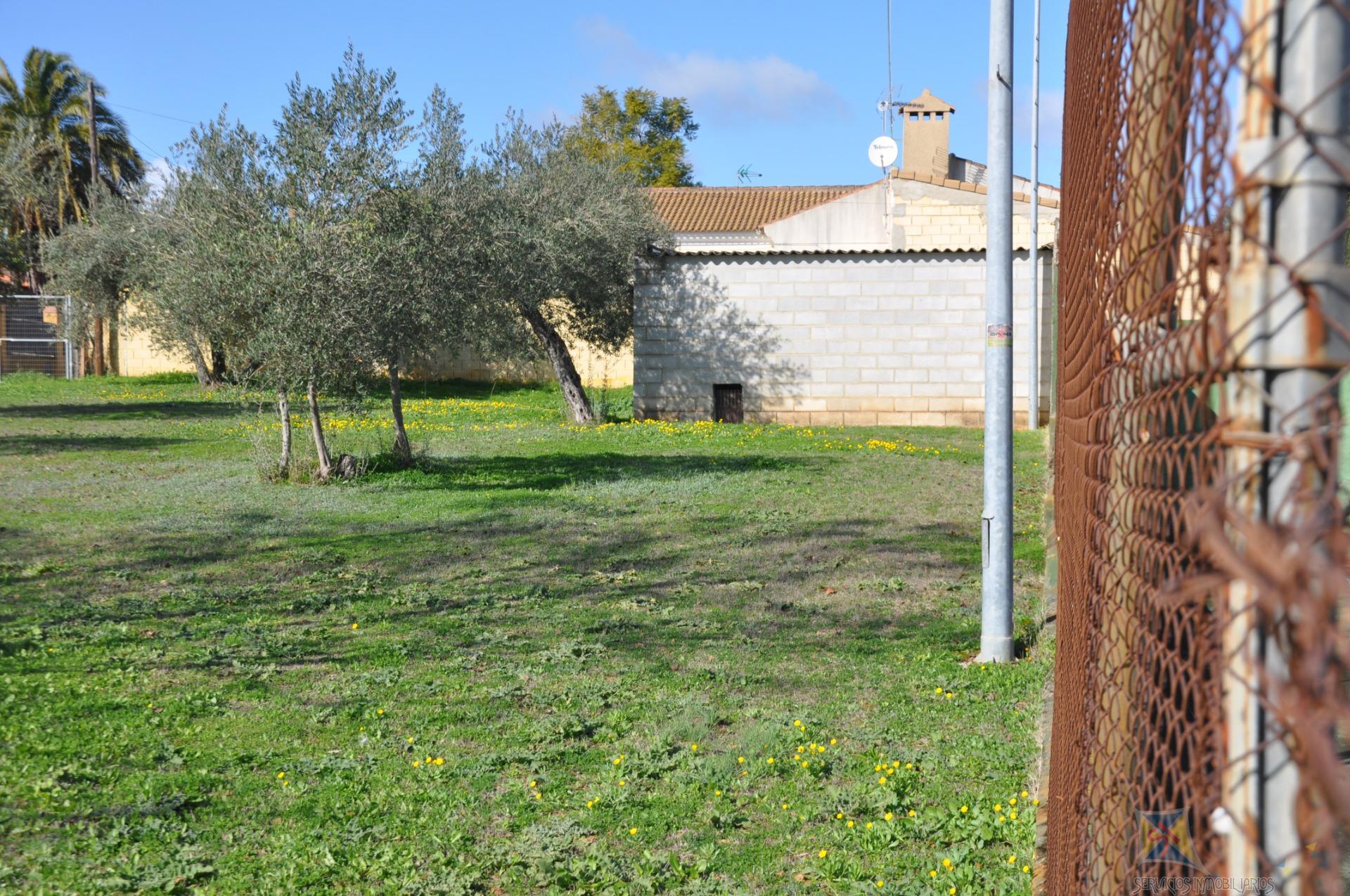 Venta de chalet en Palomares del Rio