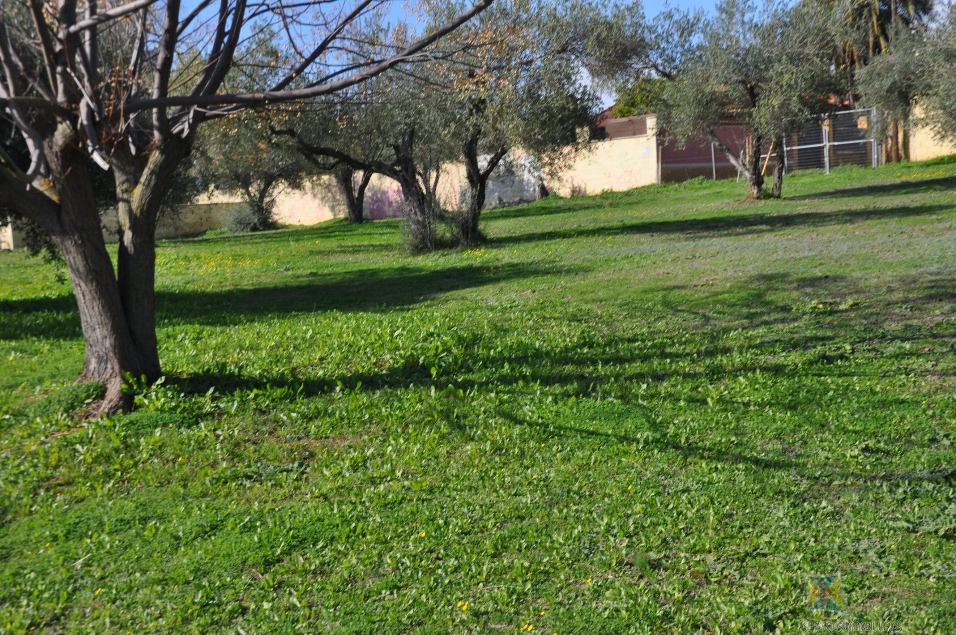 Venta de chalet en Palomares del Rio