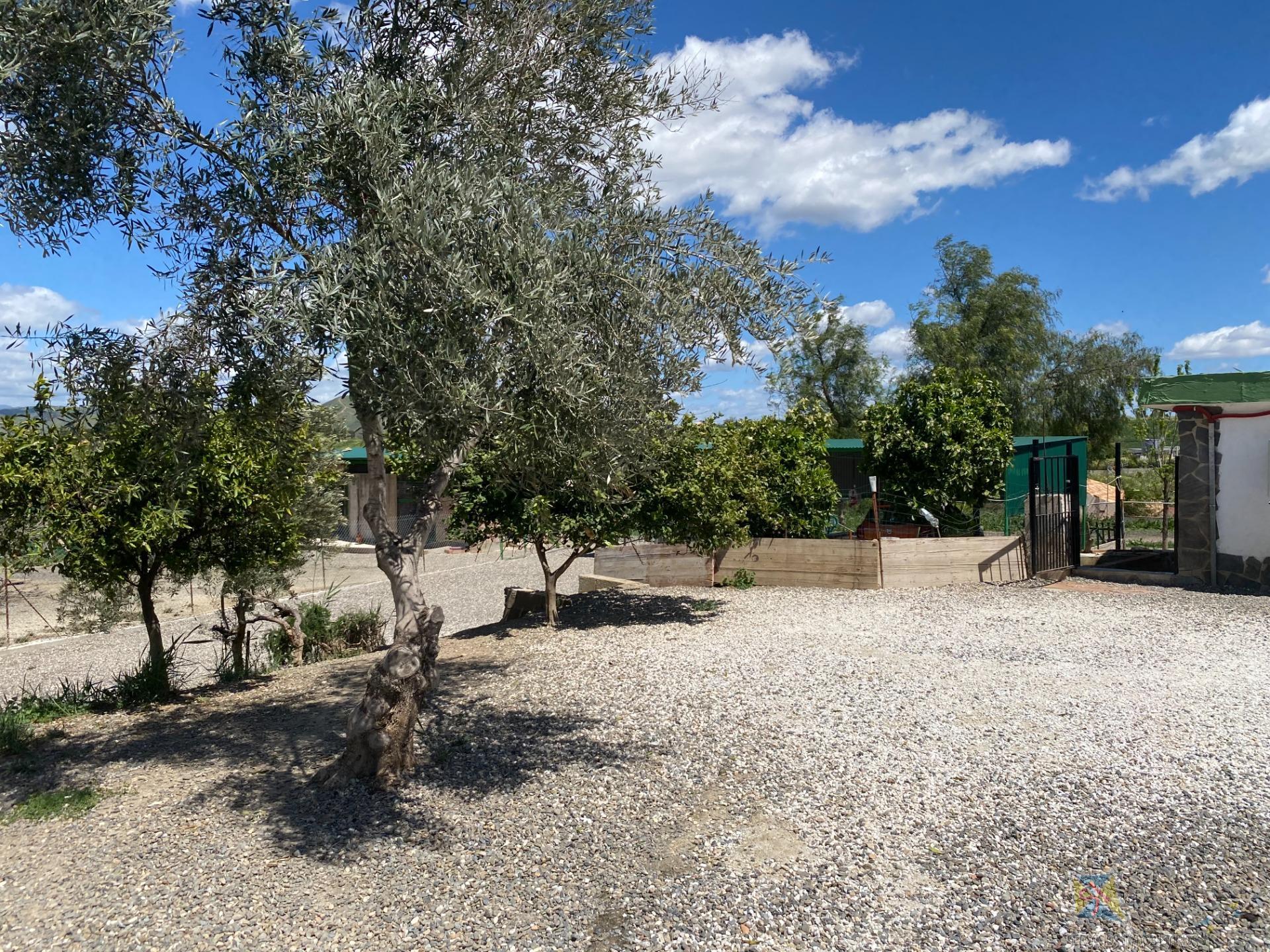 Venta de casa en Cártama
